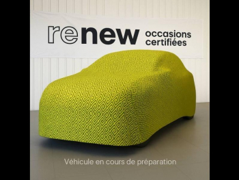 RENAULT Clio d’occasion à vendre à SAINT PIERRE LES NEMOURS
